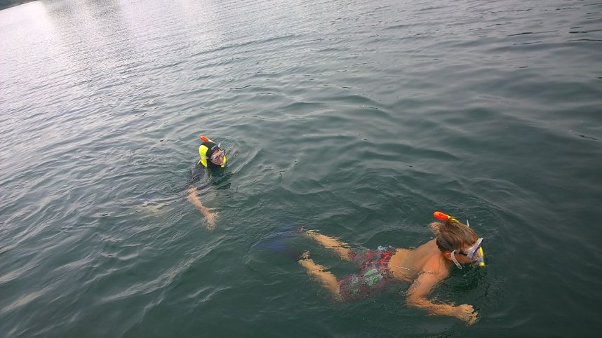 Schnuppertauchen beim TSC Neptun