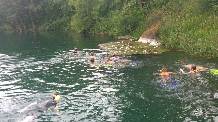 Schnuppertauchen beim TSC Neptun