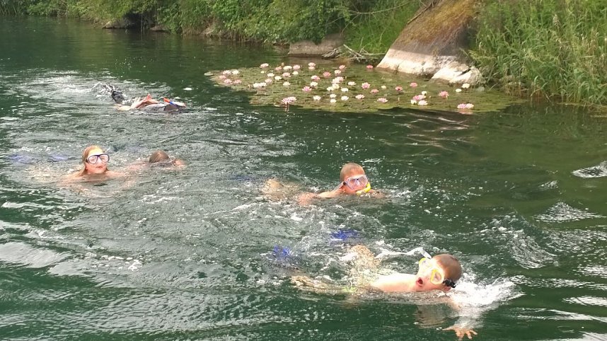 Schnuppertauchen beim TSC Neptun