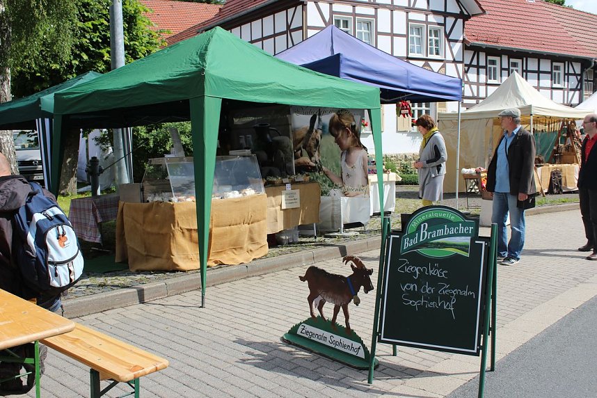 &Uuml;ber 100 K&uuml;nstler zeigen was sie k&ouml;nnen