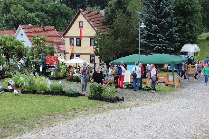 &Uuml;ber 100 K&uuml;nstler zeigen was sie k&ouml;nnen