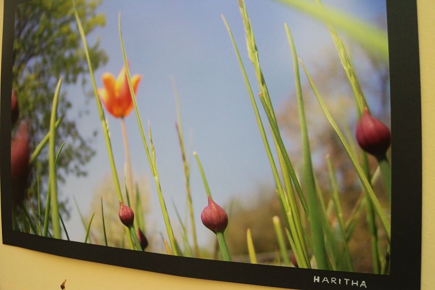 Fotoausstellung im Atrium der Petersbergschule