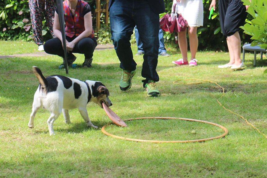 Sommerfest der Diakonie Suchthilfe