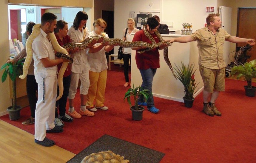 Tierisch, tierisch im Sonnenhof