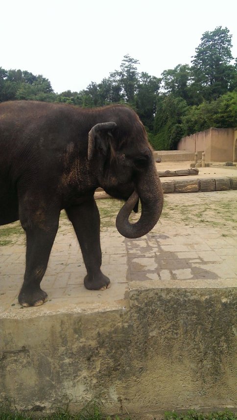 Abschlussfahrt nach Hannover