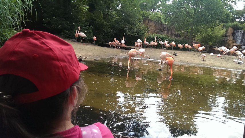 Abschlussfahrt nach Hannover