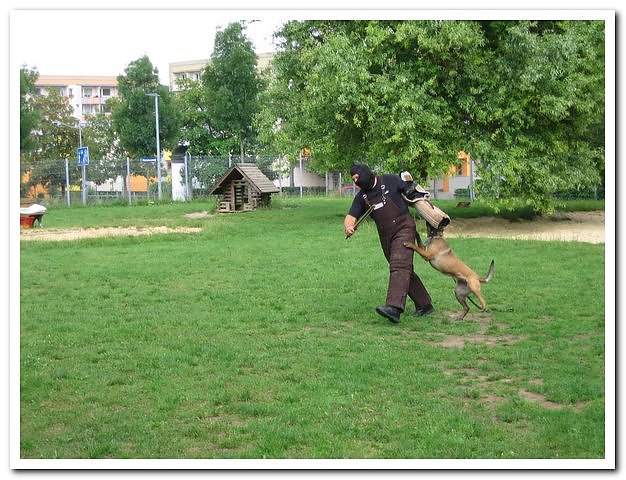 Hortfest der Grundschule "Am F&ouml;rstemannweg"