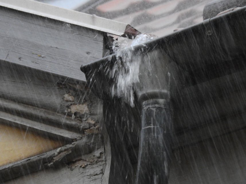 Veganes Stra&szlig;enfest auf der Kurzen Meile