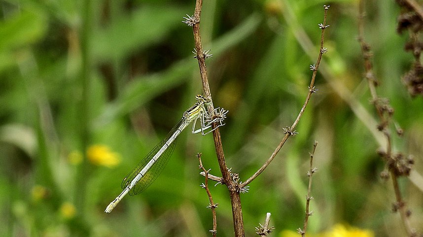 Peter Blei unterwegs - diesmal in der freien Natur