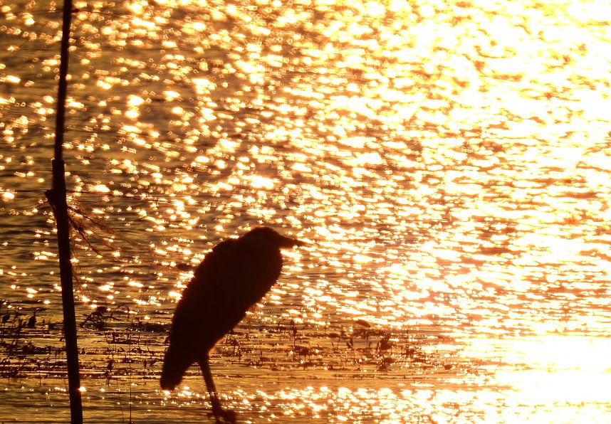 Abendimpressionen aus Auleben