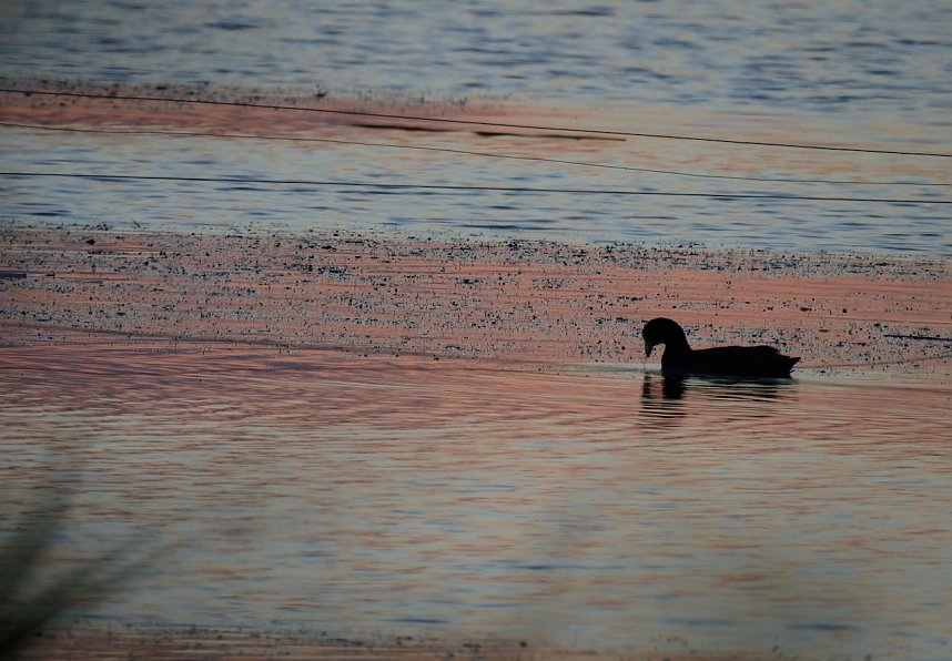 Abendimpressionen aus Auleben