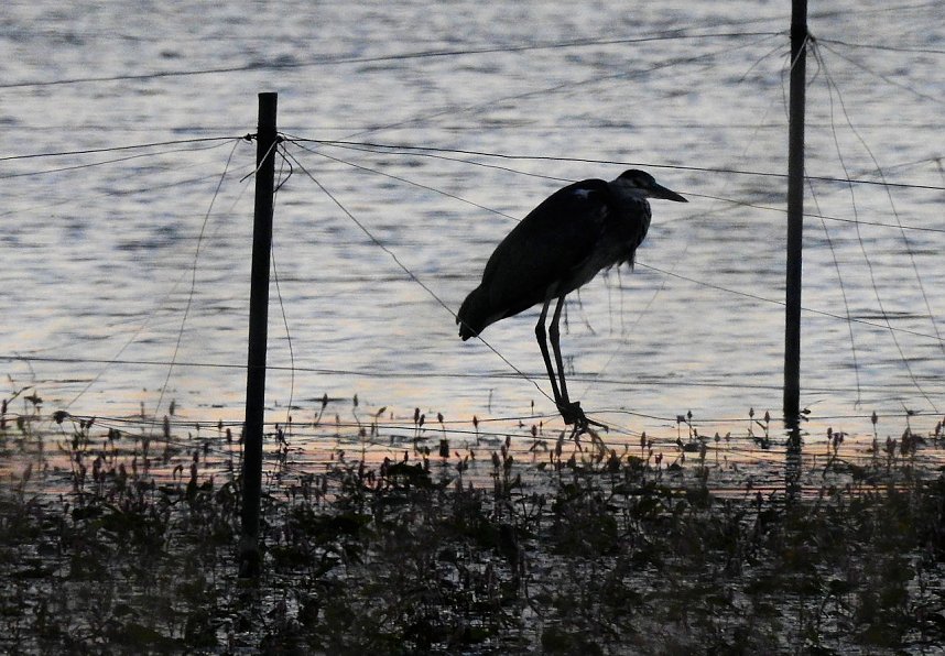 Abendimpressionen aus Auleben