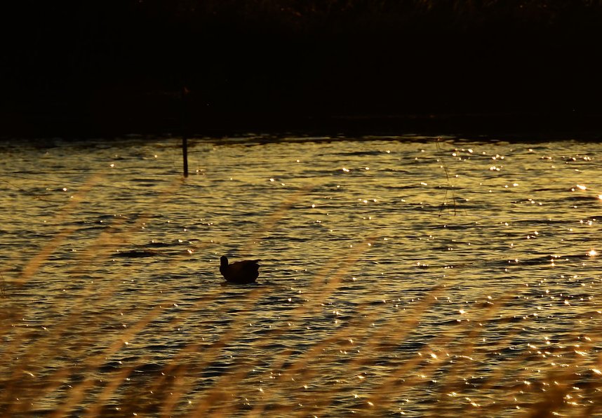 Abendimpressionen aus Auleben