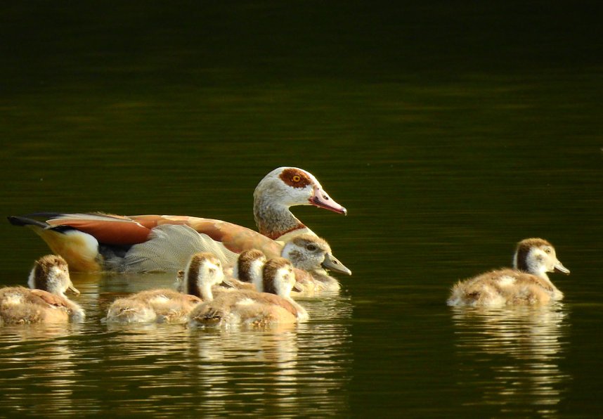 Besuch in der Heimat
