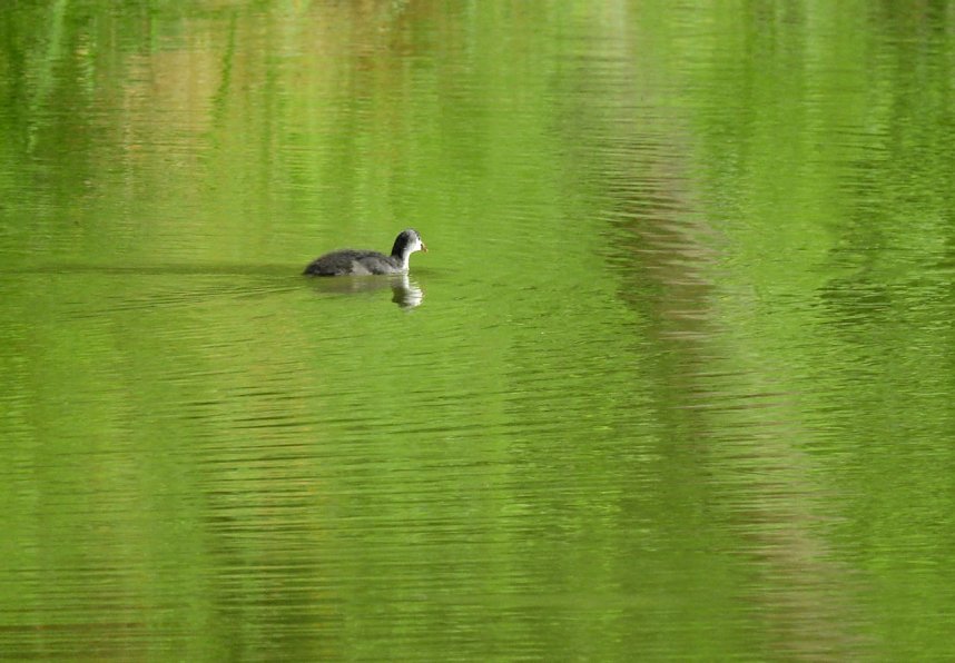 Besuch in der Heimat