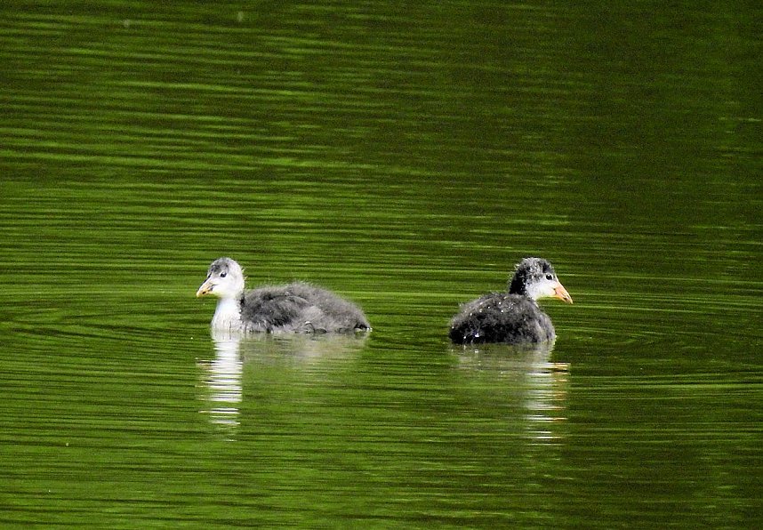 Besuch in der Heimat