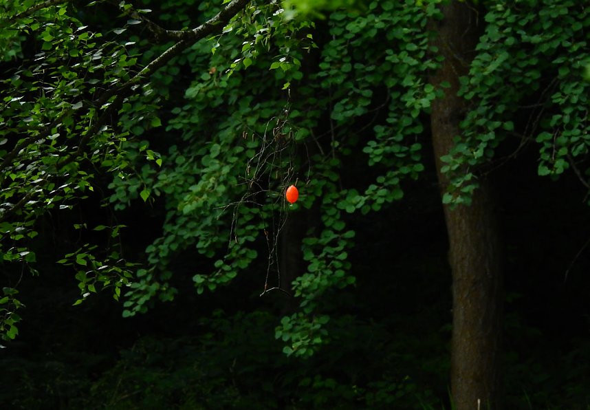 Besuch in der Heimat