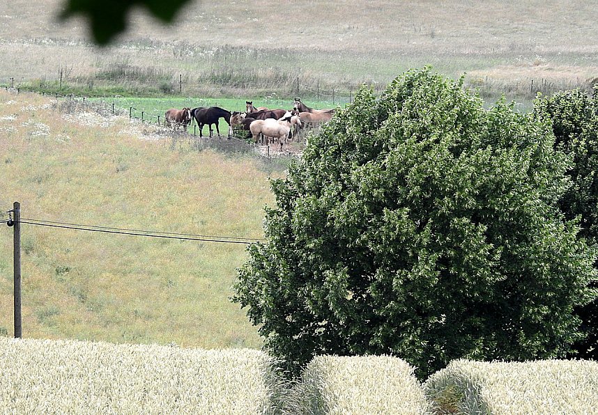 Besuch in der Heimat