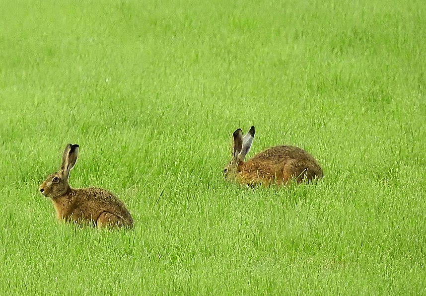 Besuch in der Heimat