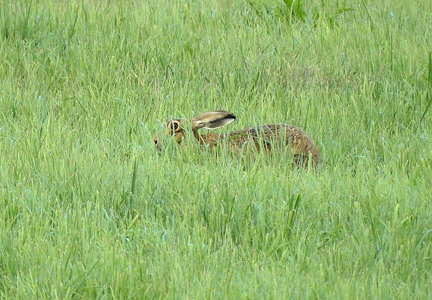 Besuch in der Heimat