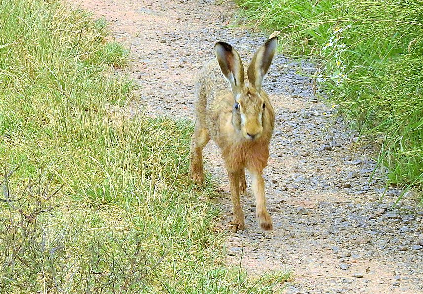 Besuch in der Heimat