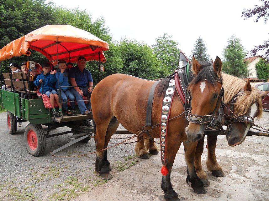 Eichenbergzwerge auf Reisen