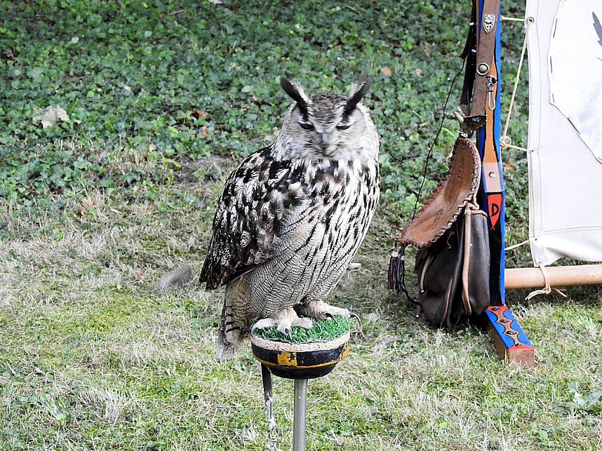 Barockes Gartenfest im Labyrinth