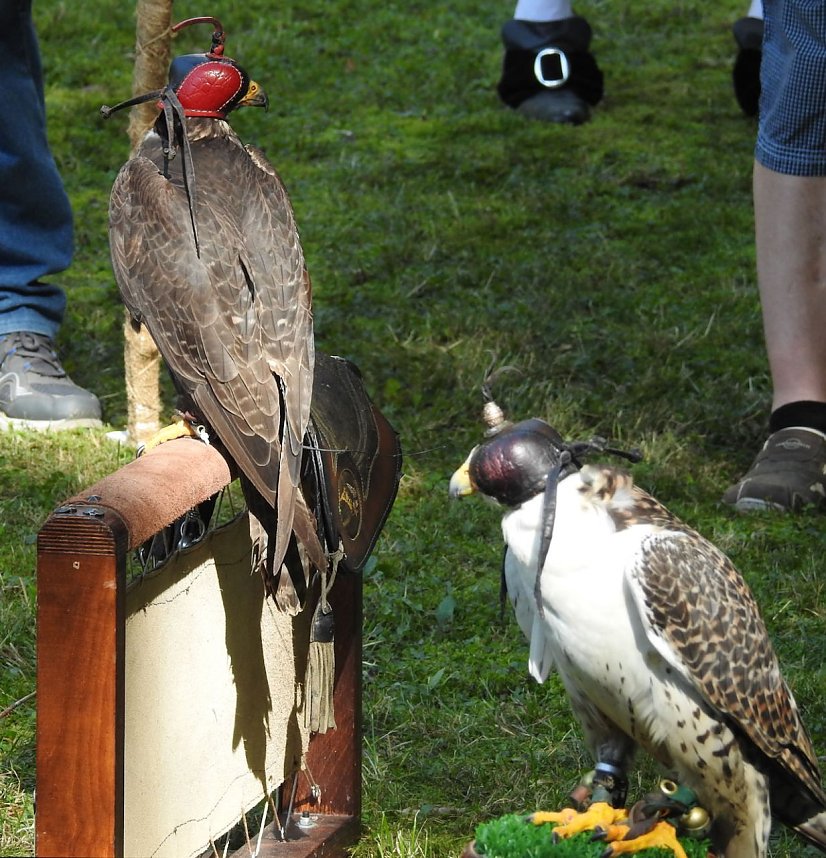 Barockes Gartenfest im Labyrinth