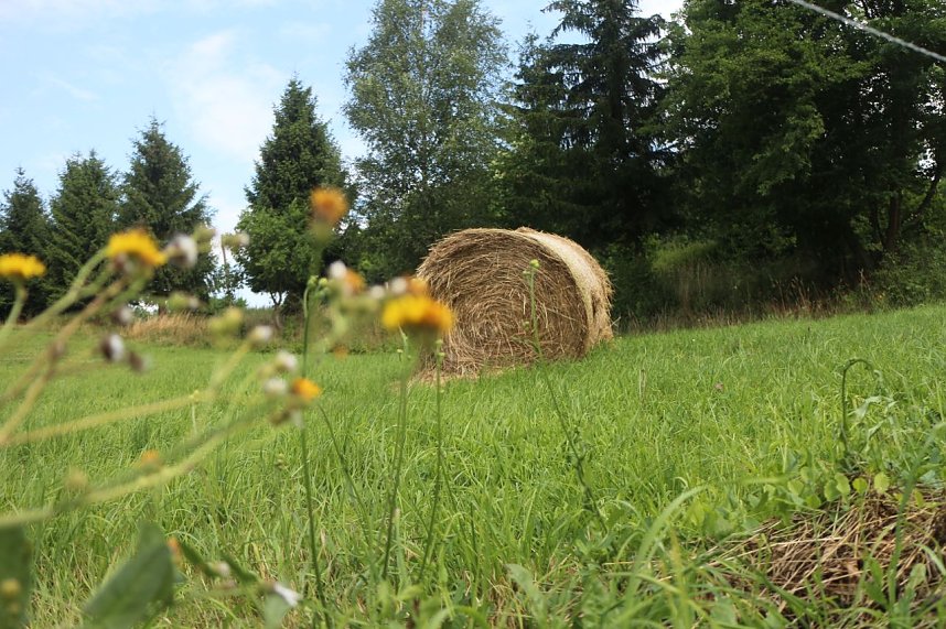 Sommer in R&uuml;digsdorf