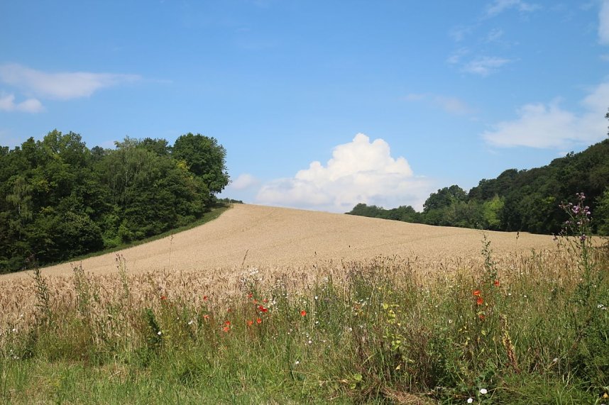 Sommer in R&uuml;digsdorf
