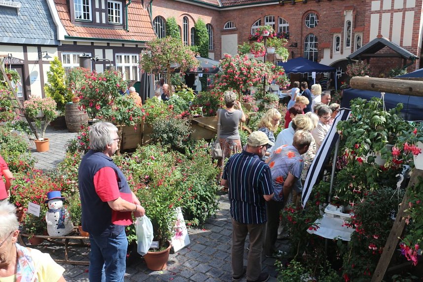 4. Fuchsienschau in der Nordh&auml;user Traditionsbrennerei