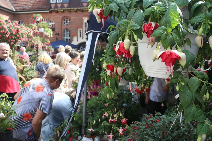 4. Fuchsienschau in der Nordh&auml;user Traditionsbrennerei