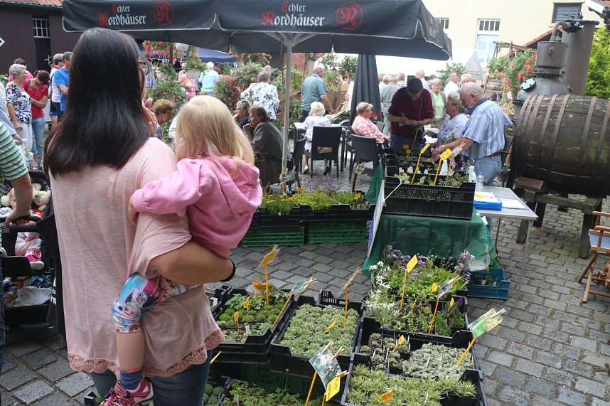 4. Fuchsienschau in der Nordh&auml;user Traditionsbrennerei