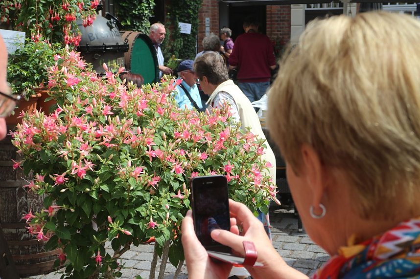 4. Fuchsienschau in der Nordh&auml;user Traditionsbrennerei