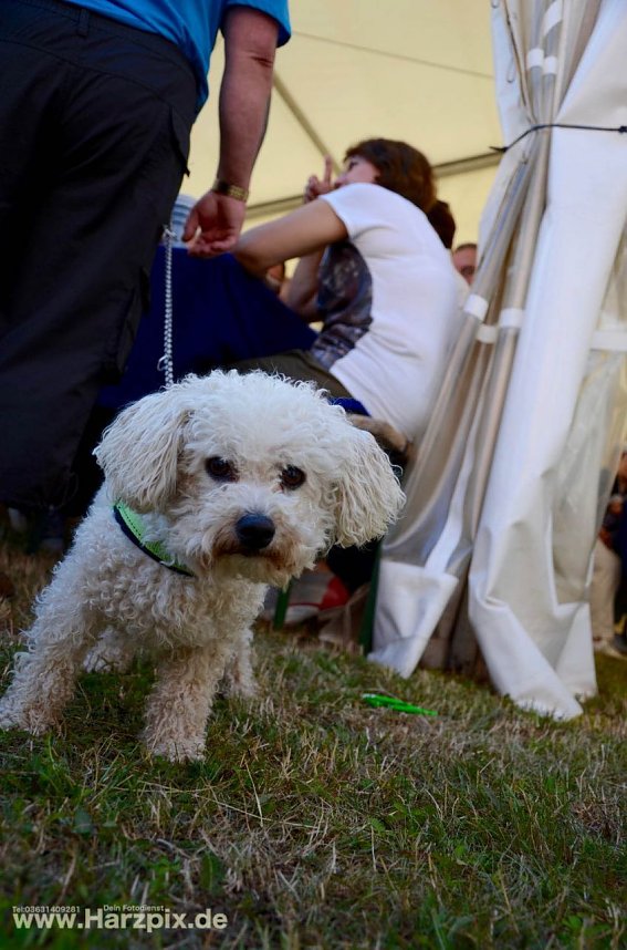WBG Nachbarschaftsfest Ost