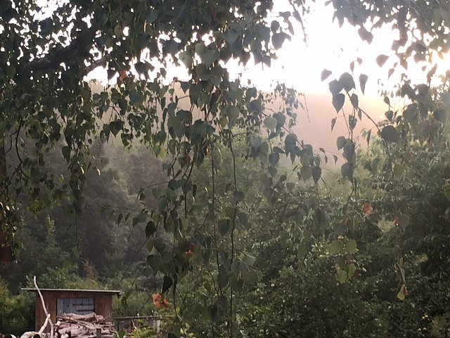 Anwohner und Nachbarn werden durch die Staubentwicklung belastet.