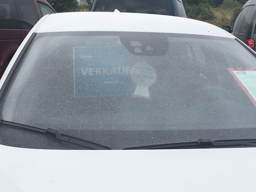 Staub, nichts als Staub