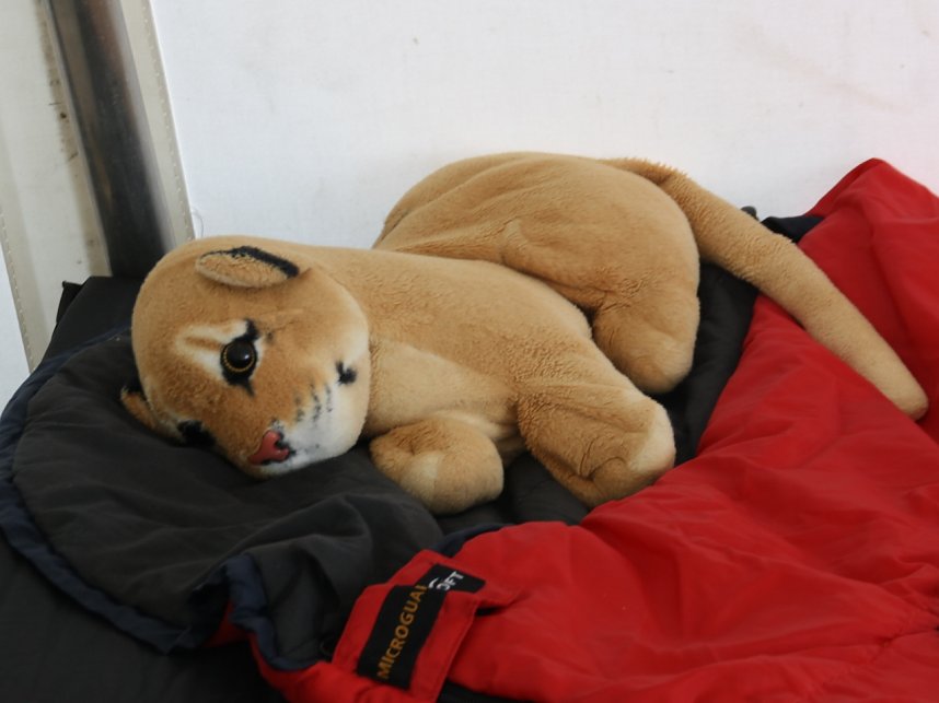 Handwerkercamp in Hoheneiche (Tage 1)