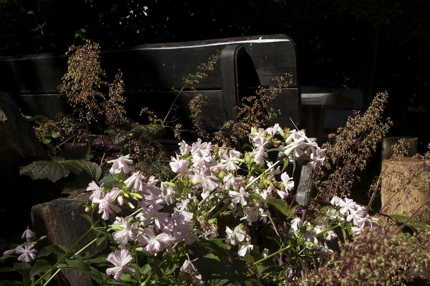 Offene G&auml;rten im Landkreis Nordhausen
