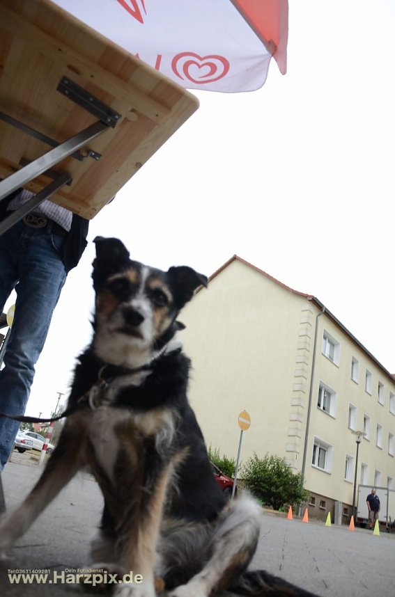 WBG Fest T&ouml;pferstra&szlig;e