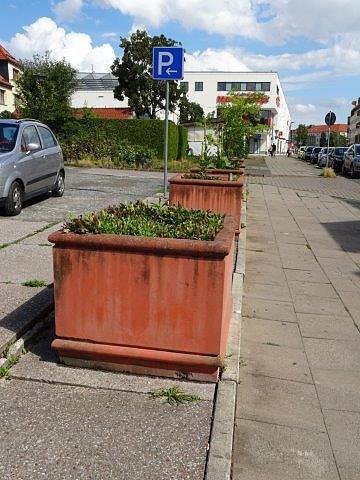 Eine Augenweide, diese Frabenpracht