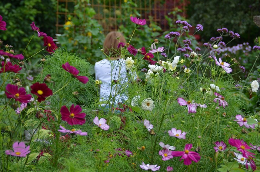 Tag der offenen G&auml;rten im Landkreis Nordhausen