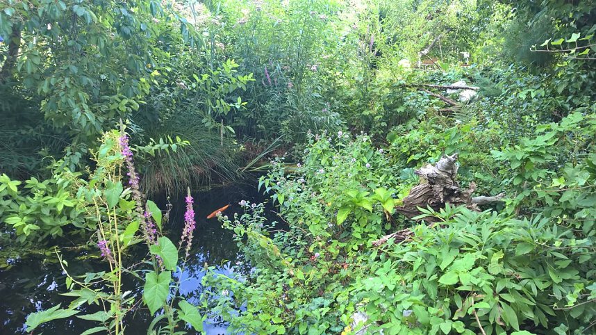 Tag der offenen G&auml;rten im Landkreis Nordhausen