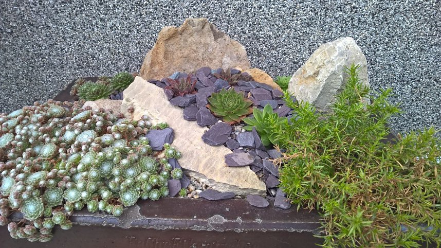 Tag der offenen G&auml;rten im Landkreis Nordhausen