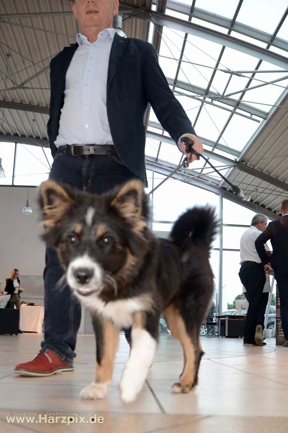 After-Work-Party bei Audi