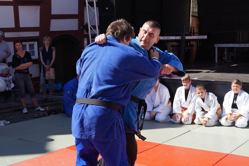 Altstadtfest 2016 - der Sonntag