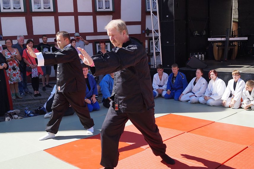 Altstadtfest 2016 - die Nachlese