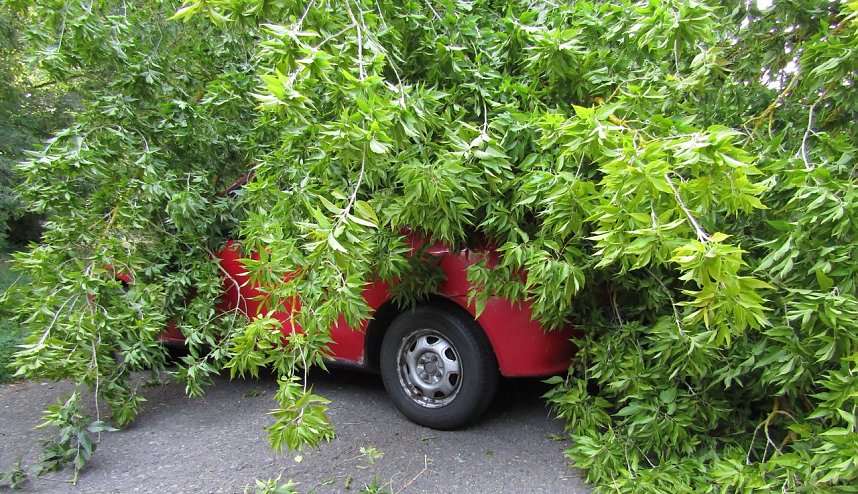 B&ouml;se &Uuml;berraschung