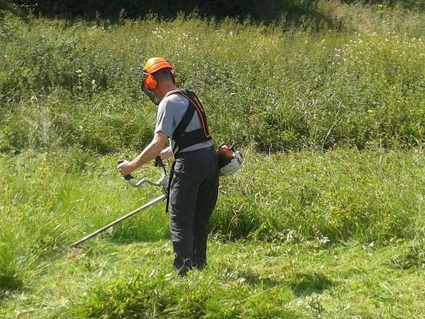 BUND pflegt Flachmoor