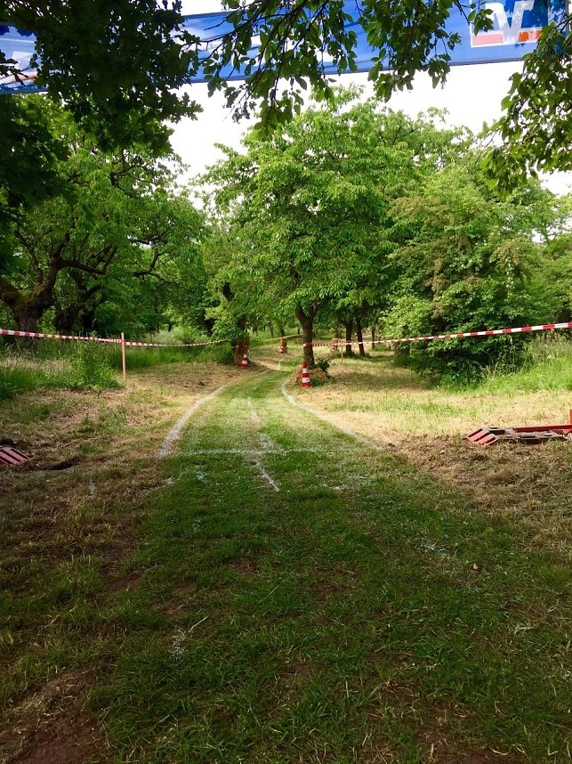 Erstes Seifenkistenrennen im vergangenen Jahr